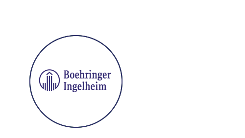 Bericht Boehringer Intervisiegroepen bekijken